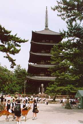 Kofukuji'n temppelin pagodi Narassa ja pyhi peuroja